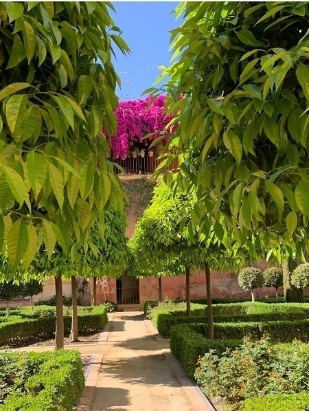 Les jardins de l'Alcazar à Séville (Sélène C.)